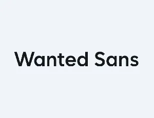 Wanted Sans font
