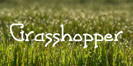 Grasshopper font