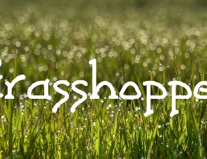 Grasshopper font