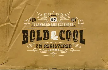 vtks Bold&Cool font