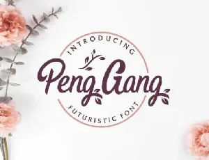 Peng Gang font