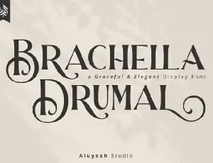 Barchella Drumal Display font