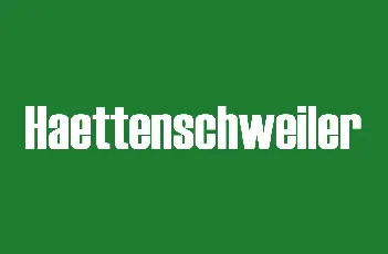 Haettenschweiler font