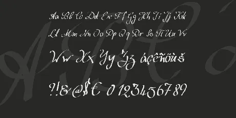 Wolgast Script font