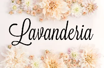 Lavanderia font