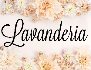 Lavanderia font