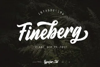 Fineberg Script font