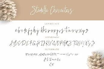 Stadella Signature Script font