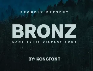 Bronz font