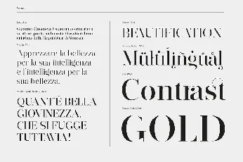 Seingalt Typeface font