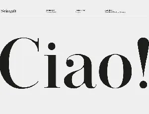 Seingalt Typeface font