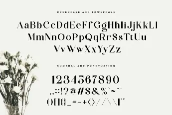 Zalerin font