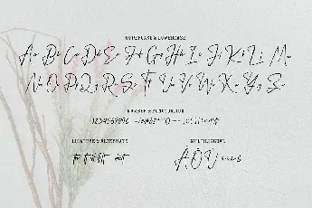 Sintya Signature font