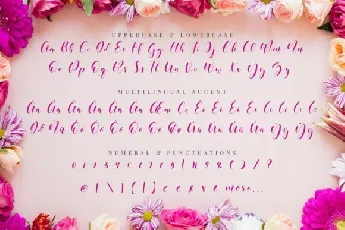 Beneficha Calligraphy Script font