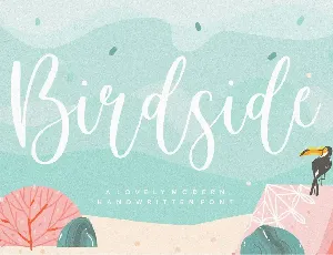 Birdside font