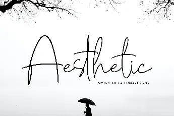 Aesthetic font