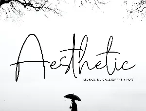 Aesthetic font