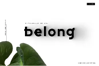 Belong Sans font