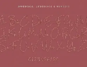 Bente Lite font