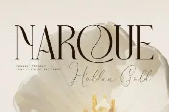 Narque Holden Gold Duo font