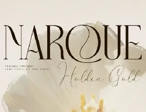 Narque Holden Gold Duo font