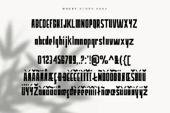 Honey Bunney Duo font