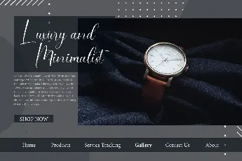 Silverwatches Demo font