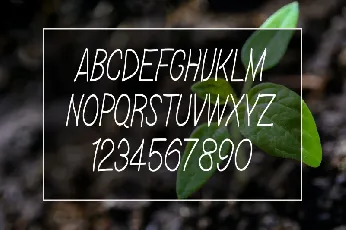 Linda Farmhouse font