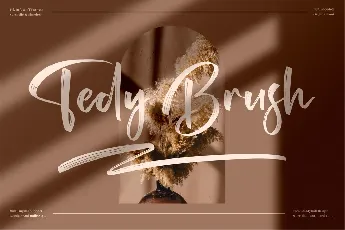 Tedy Brush font