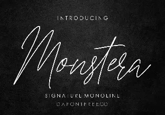 Monstera font