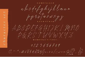 Monstera font