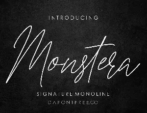 Monstera font