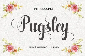 Pugsley Script font