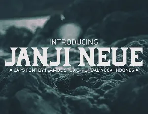 Janji Neue Typeface font