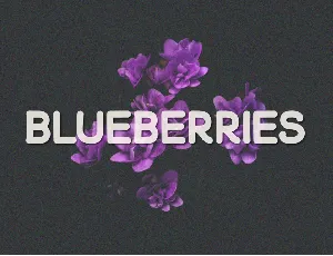 Blueberries font