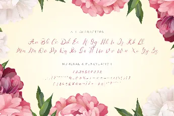 Senoritta font