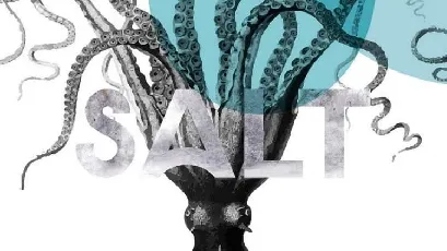 Salt Typeface Free font