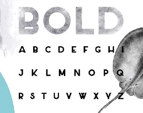 Salt Typeface Free font