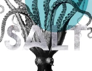 Salt Typeface Free font