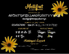 Mellifret font