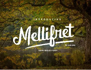 Mellifret font