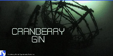 Cranberry Gin font