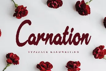 Carnation Typeface font