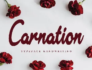 Carnation Typeface font