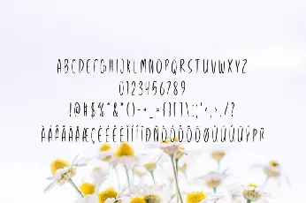 Spring Season font