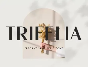 Trifelia font