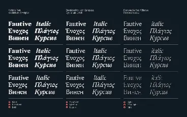 Fautive Family font