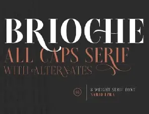 Brioche Serif font