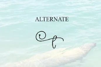 Manatee Script font