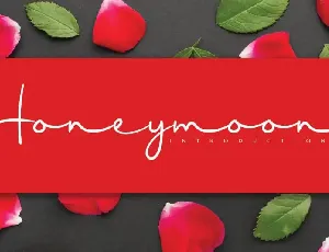 Honeymoon Handwritten font